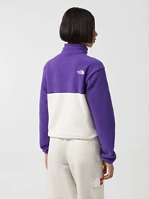 Худи и свитшоты The North Face Yumiori 1/4 Zip Fleece модель NF0A88439IA1 Фото