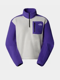 Худи и свитшоты The North Face Yumiori 1/4 Zip Fleece модель NF0A88439IA1 Фото