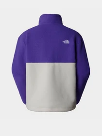Худи и свитшоты The North Face Yumiori 1/4 Zip Fleece модель NF0A88439IA1 Фото
