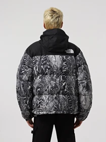 Куртки и дубленки The North Face 1996 Retro Nuptse модель NF0A3C8D8R51 Фото