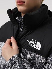 Куртки и дубленки The North Face 1996 Retro Nuptse модель NF0A3C8D8R51 Фото