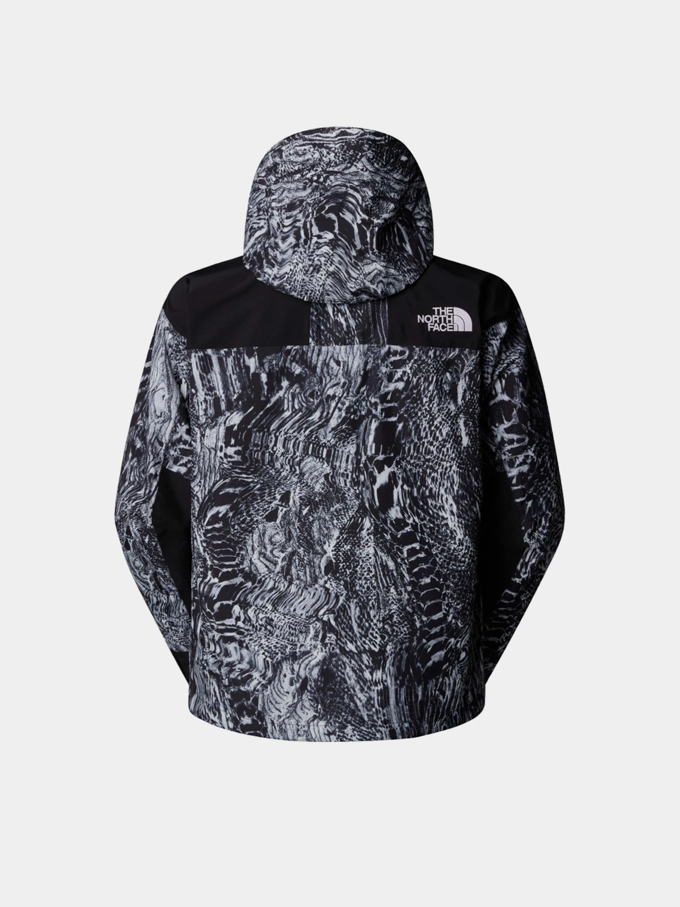 Куртки та дублянки The North Face GORE-TEX® Mountain модель NF0A831M8R51 Куртки та дублянки The North Face GORE-TEX® Mountain модель NF0A831M8R51 Фото