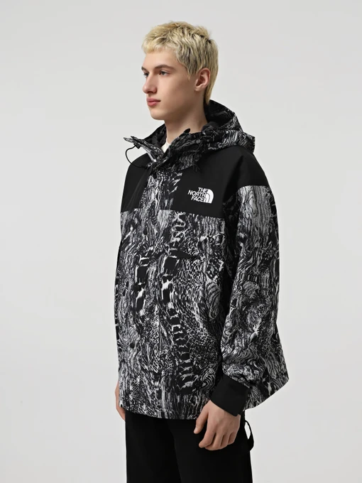 Куртки и дубленки The North Face GORE-TEX® Mountain модель NF0A831M8R51 Фото