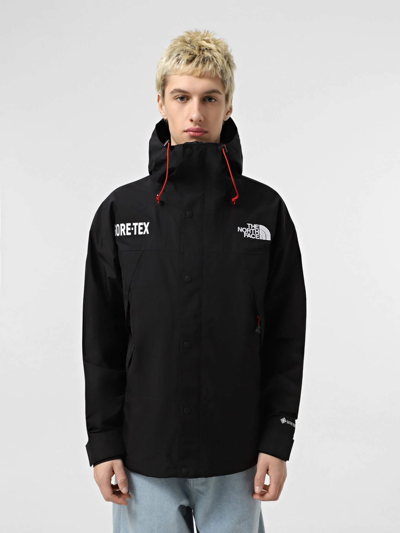Куртки та дублянки The North Face GORE-TEX® Mountain модель NF0A831M57Y1 Куртки та дублянки The North Face GORE-TEX® Mountain модель NF0A831M57Y1 Фото