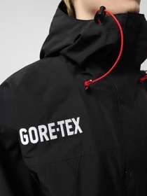 Куртки та дублянки The North Face GORE-TEX® Mountain модель NF0A831M57Y1 Фото