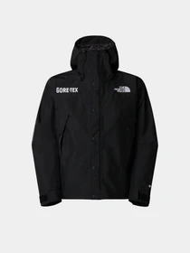 Куртки та дублянки The North Face GORE-TEX® Mountain модель NF0A831M57Y1 Фото