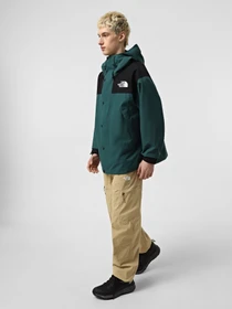 Куртки та дублянки The North Face Dryvent Mono Mountain модель NF0A88XF5861 Фото