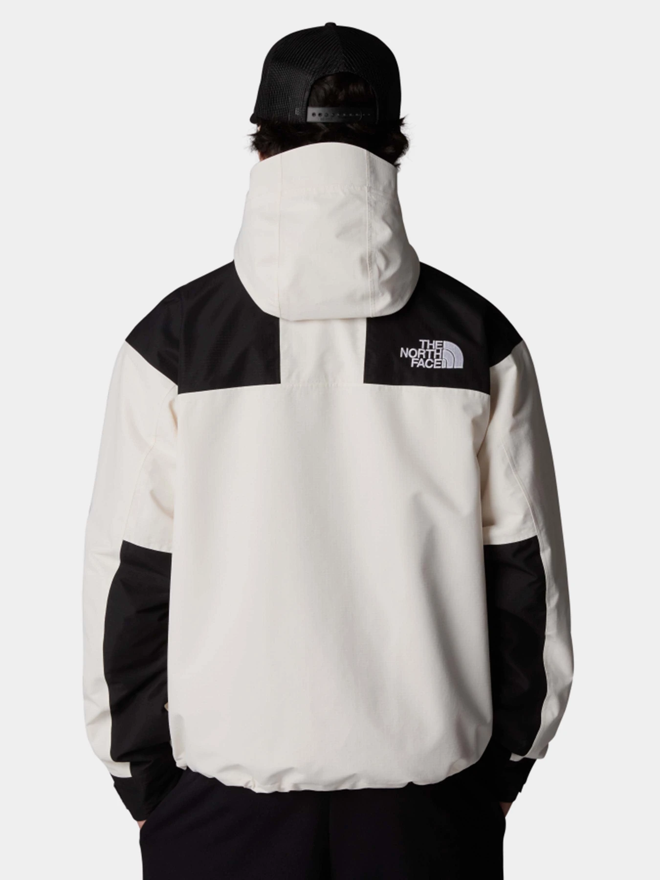 Куртки та дублянки The North Face Dryvent Mono Mountain модель NF0A88XFROU1 Фото
