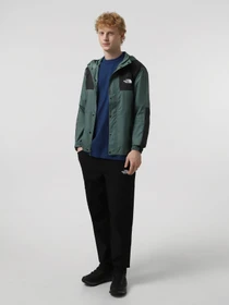 Куртки и дубленки The North Face Seasonal Mountain модель NF0A5IG3HCH1 Фото