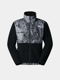 Худи и свитшоты The North Face Retro Denali модель NF0A88XH8RC1 Фото