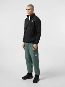 Худи и свитшоты The North Face Crest ¼ Zip модель NF0A897DJK31 Фото