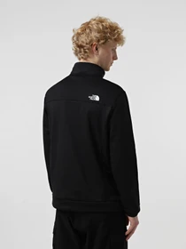 Худи и свитшоты The North Face Ma Fleece ¼ Zip модель NF0A8BFMJK31 Фото