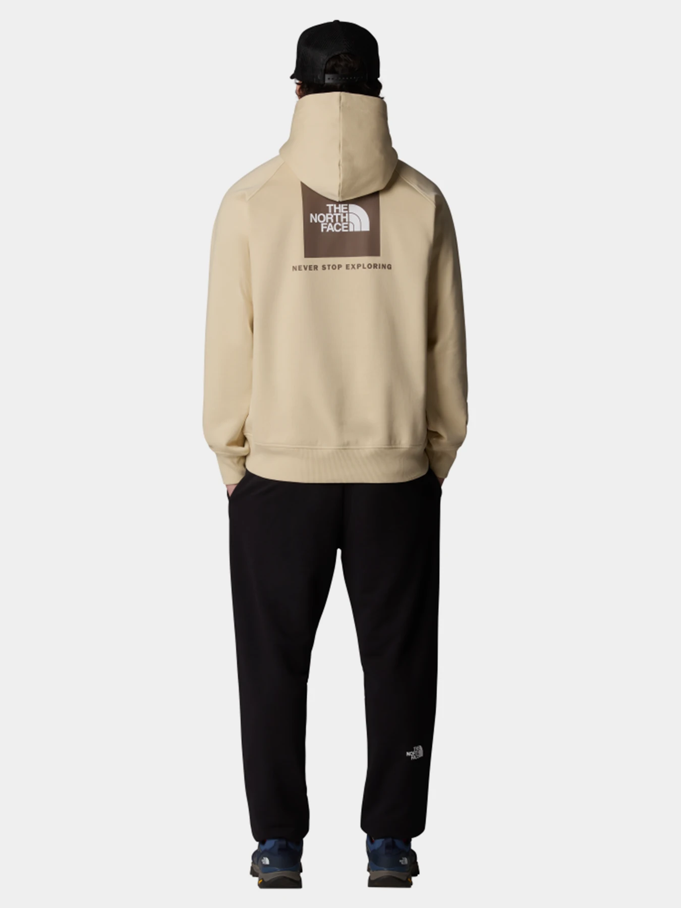 Худи и свитшоты The North Face Raglan Box Nse модель NF0A89F9B2O1 Худи и свитшоты The North Face Raglan Box Nse модель NF0A89F9B2O1 Фото
