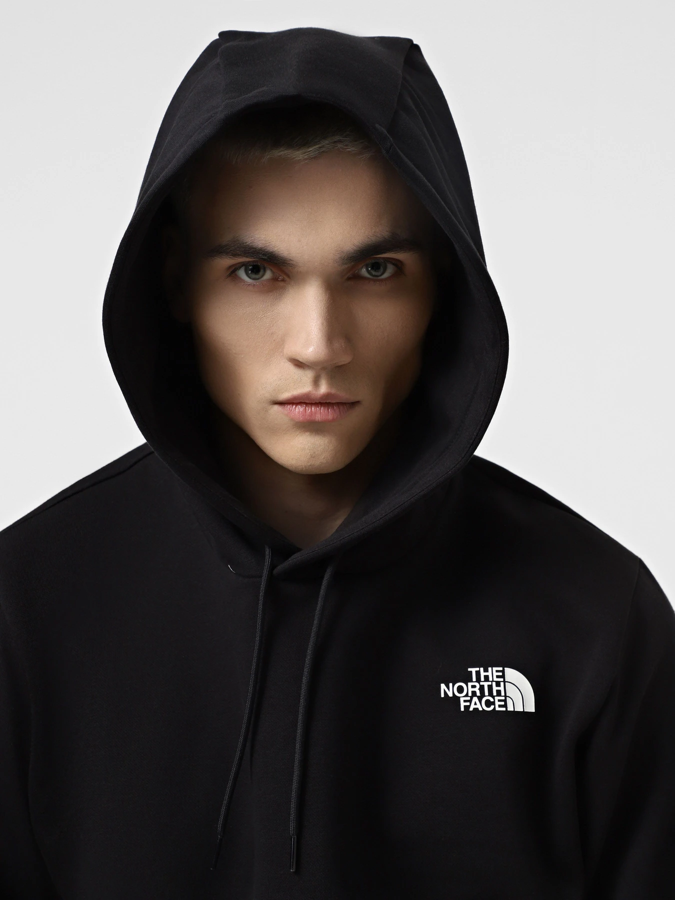Худи и свитшоты The North Face Simple Dome модель NF0A89FCJK31 Худи и свитшоты The North Face Simple Dome модель NF0A89FCJK31 Фото