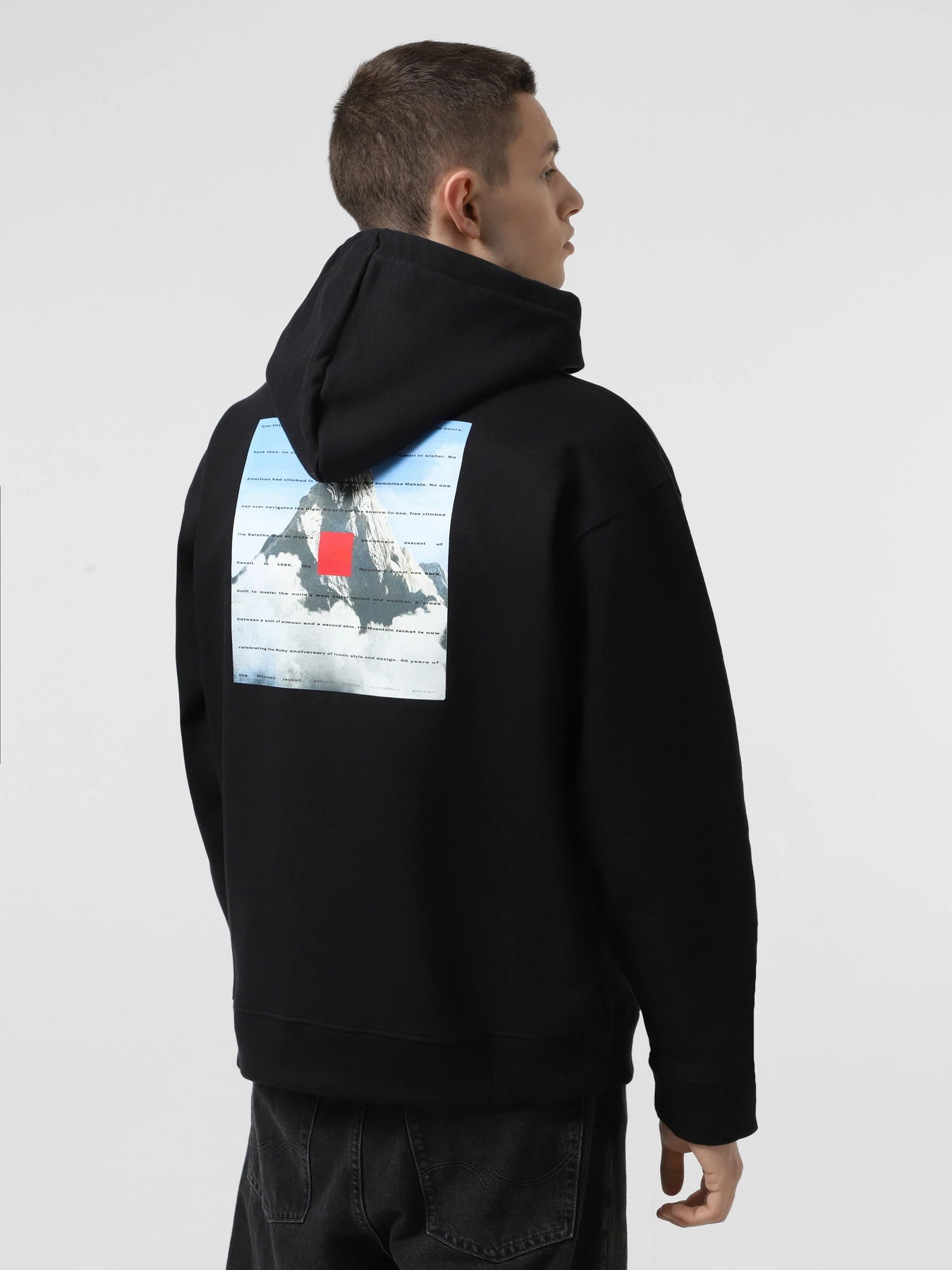 Худи и свитшоты The North Face Mountain 40th Anniversary Heavyweight модель NF0A8BXXJK31 Худи и свитшоты The North Face Mountain 40th Anniversary Heavyweight модель NF0A8BXXJK31 Фото