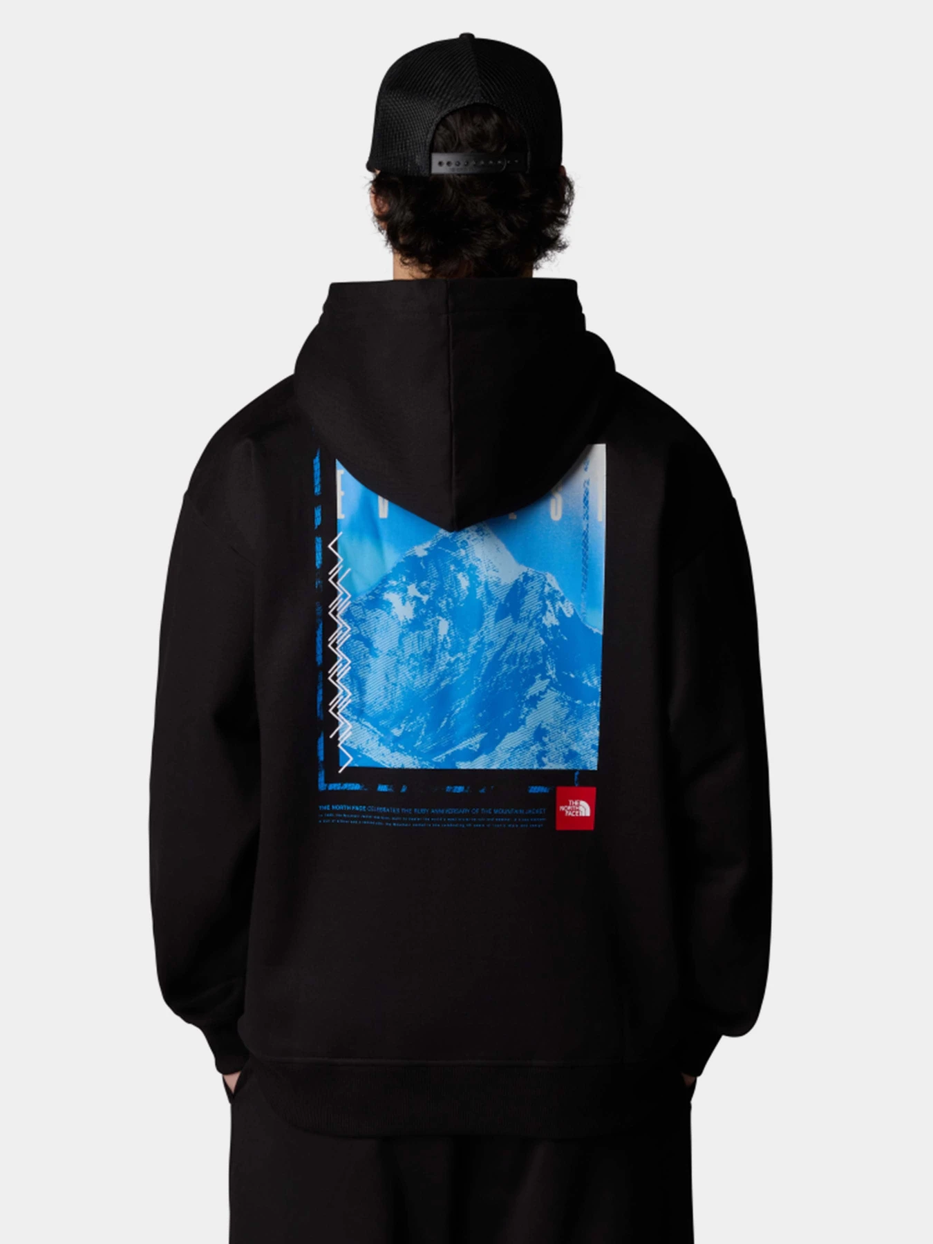 Худі та світшоти The North Face Axys Oversized модель NF0A8C1QJK31 Фото