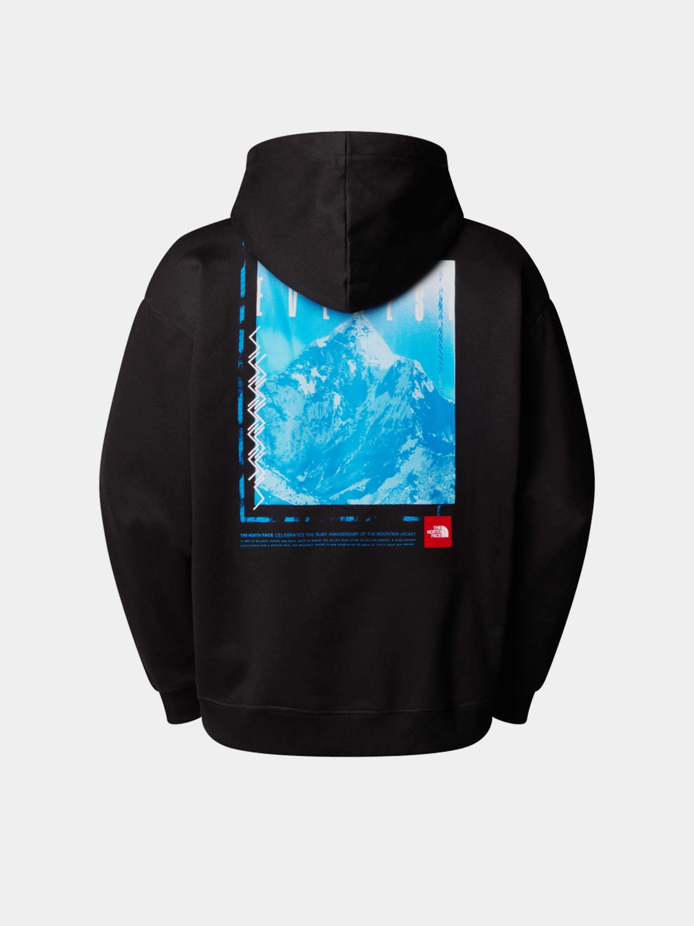 Худі та світшоти The North Face Axys Oversized модель NF0A8C1QJK31 Фото