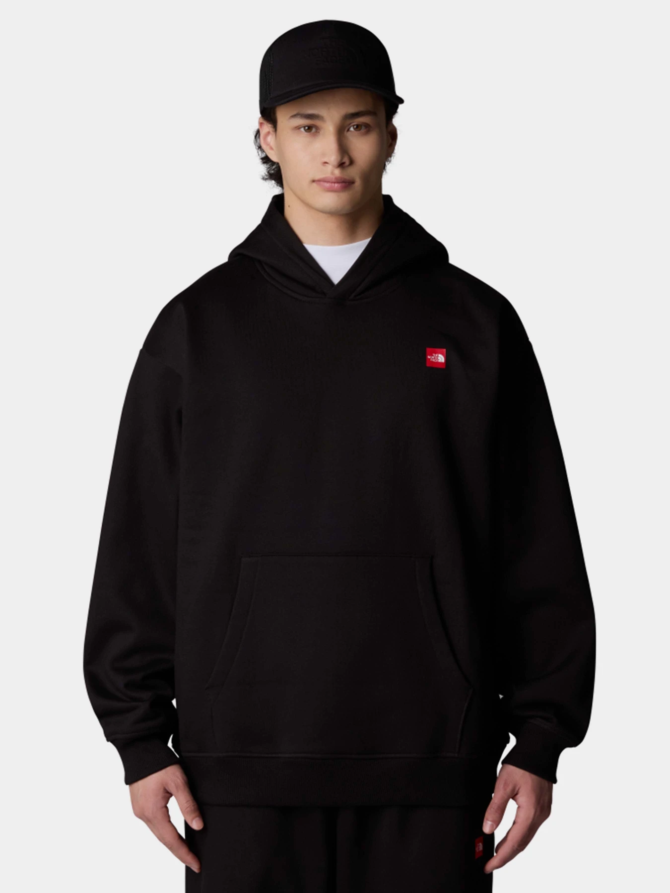 Худі та світшоти The North Face Axys Oversized модель NF0A8C1QJK31 Фото