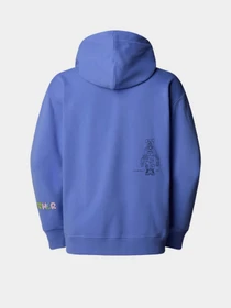 Худи и свитшоты The North Face Mountain Cleanup Oversized модель NF0A8C2V0YI1 Фото