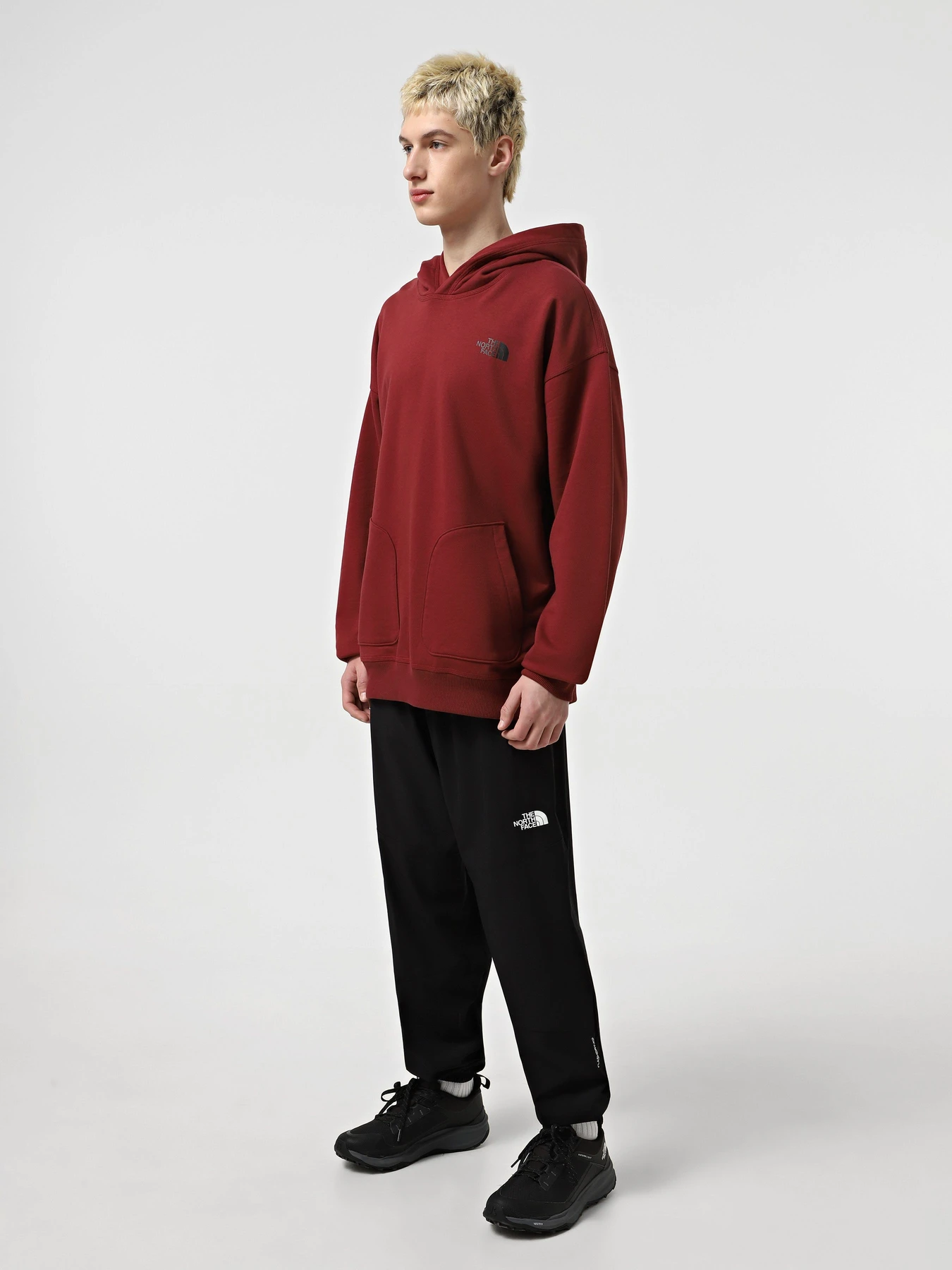 Худи и свитшоты The North Face Nse Oversized модель NF0A8C3V0VO1 Худи и свитшоты The North Face Nse Oversized модель NF0A8C3V0VO1 Фото
