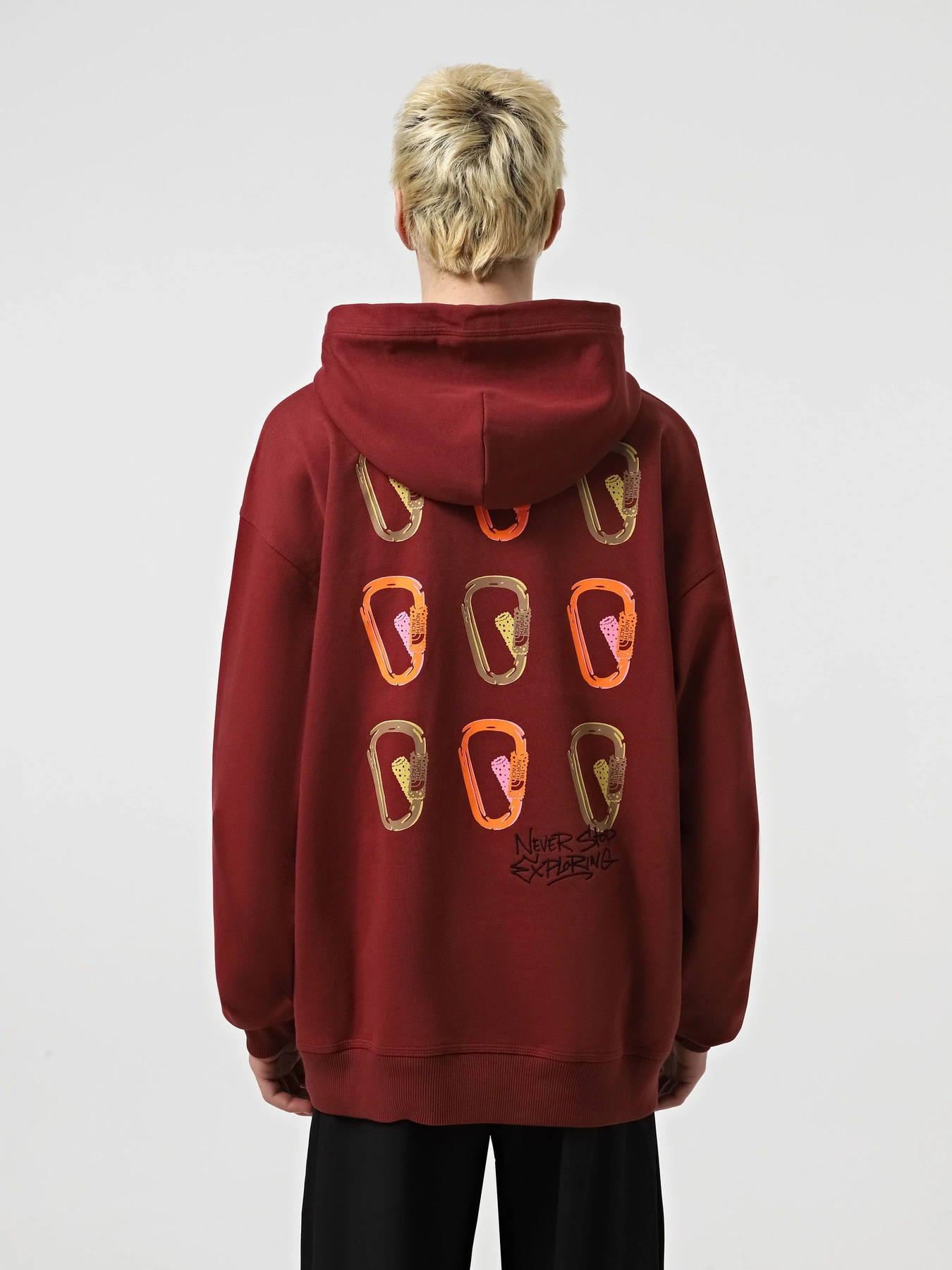 Худи и свитшоты The North Face Nse Oversized модель NF0A8C3V0VO1 Худи и свитшоты The North Face Nse Oversized модель NF0A8C3V0VO1 Фото