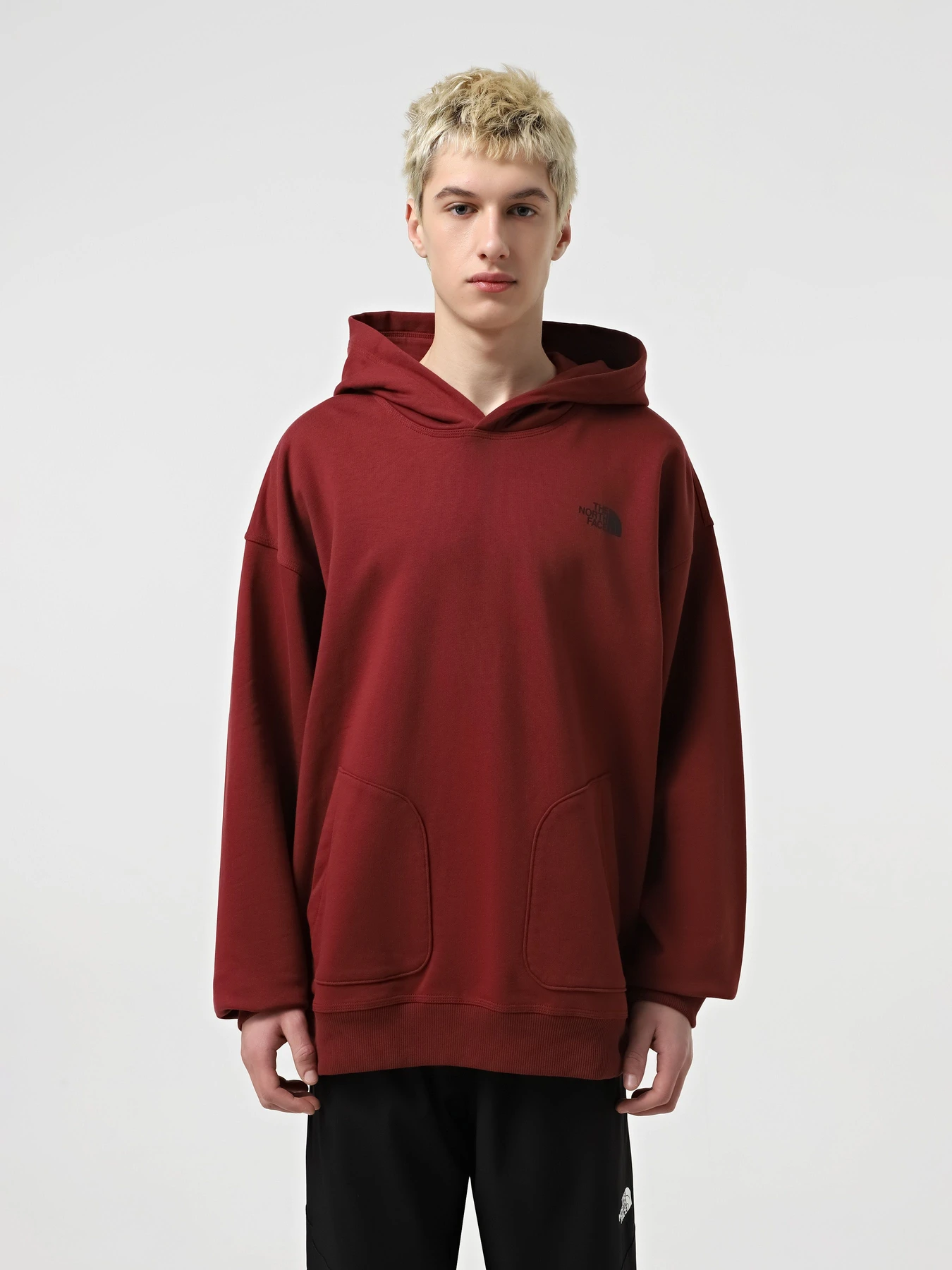 Худи и свитшоты The North Face Nse Oversized модель NF0A8C3V0VO1 Худи и свитшоты The North Face Nse Oversized модель NF0A8C3V0VO1 Фото