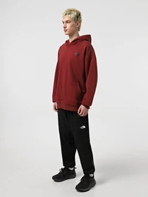 Худи и свитшоты The North Face Nse Oversized модель NF0A8C3V0VO1 Фото