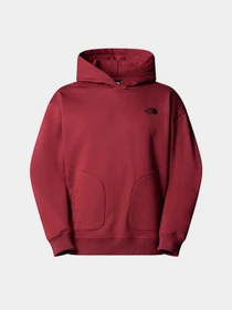 Худи и свитшоты The North Face Nse Oversized модель NF0A8C3V0VO1 Фото