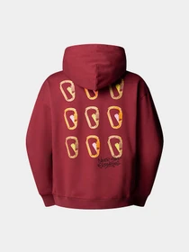 Худи и свитшоты The North Face Nse Oversized модель NF0A8C3V0VO1 Фото