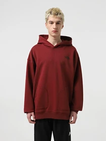 Худі та світшоти The North Face Nse Oversized модель NF0A8C3V0VO1 Фото