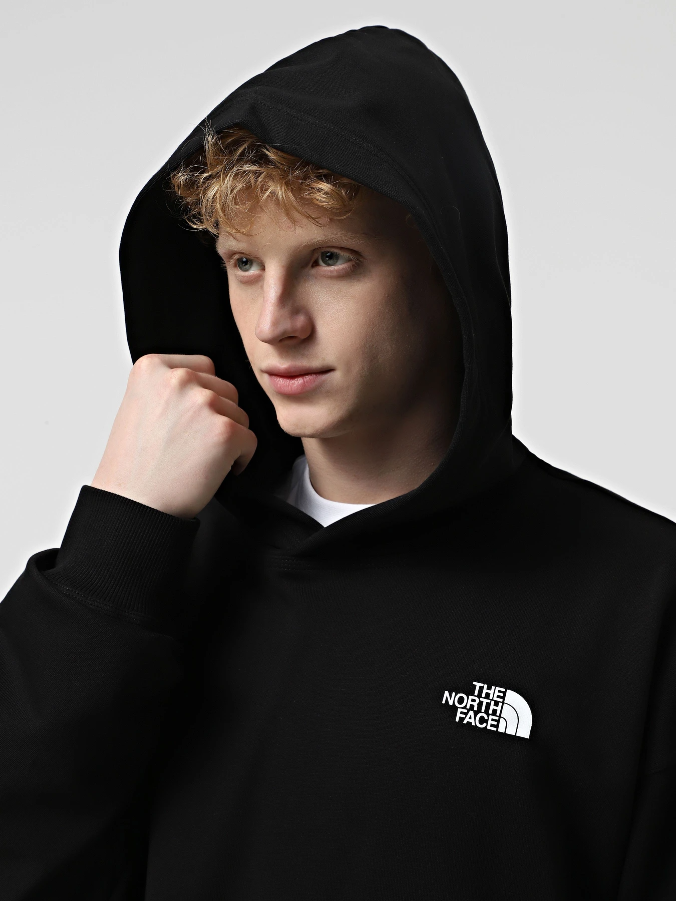 Худи и свитшоты The North Face Nse Oversized модель NF0A8C3VJK31 Худи и свитшоты The North Face Nse Oversized модель NF0A8C3VJK31 Фото