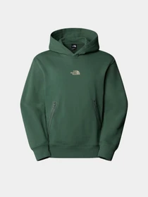 Худи и свитшоты The North Face Heritage Graphic Relaxed модель NF0A8C42HCH1 Фото