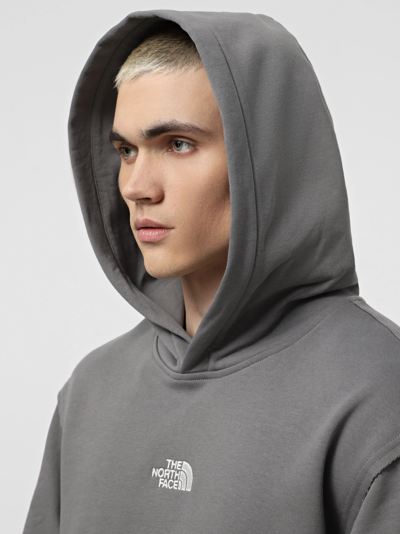 Худи и свитшоты The North Face Heritage Graphic Relaxed модель NF0A8C420UZ1 Худи и свитшоты The North Face Heritage Graphic Relaxed модель NF0A8C420UZ1 Фото