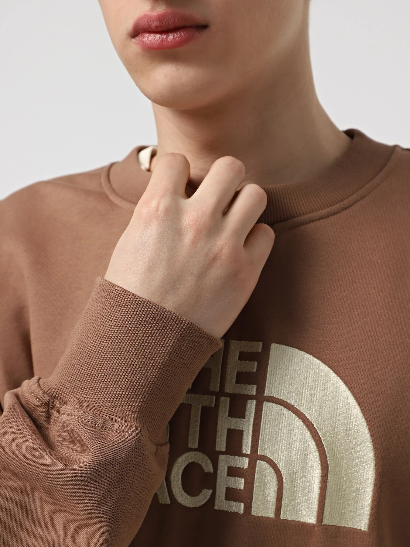 Худи и свитшоты The North Face Drew Peak Crew модель NF0A89EKAR41 Худи и свитшоты The North Face Drew Peak Crew модель NF0A89EKAR41 Фото
