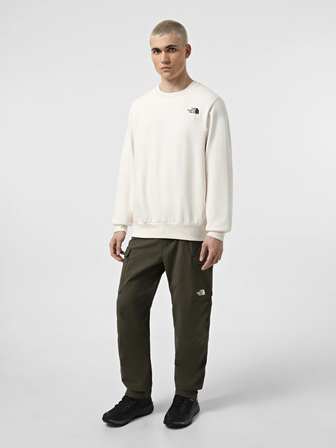 Худи и свитшоты The North Face Simple Dome Crew модель NF0A89FBQLI1 Фото