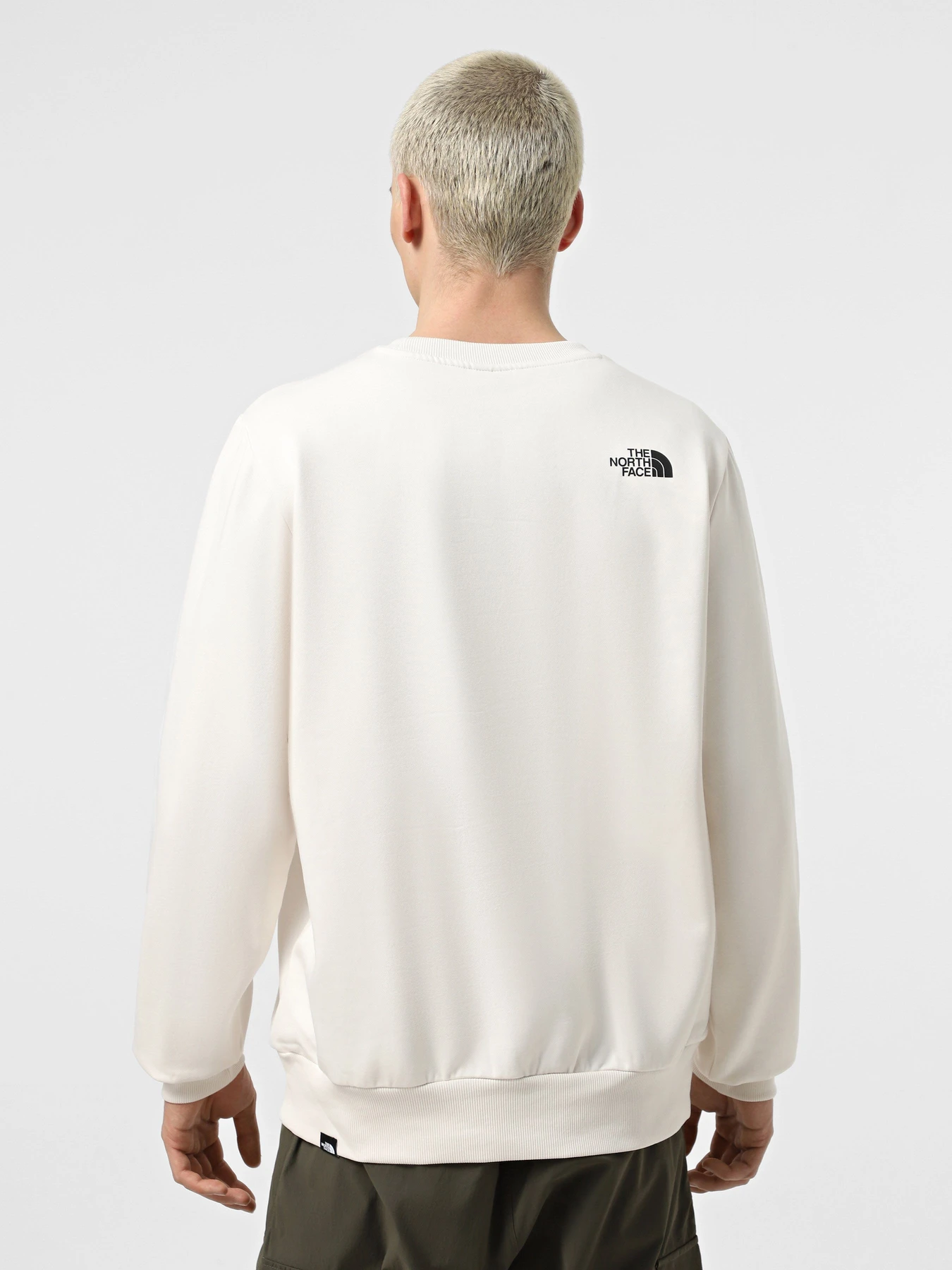 Худи и свитшоты The North Face Simple Dome Crew модель NF0A89FBQLI1 Фото