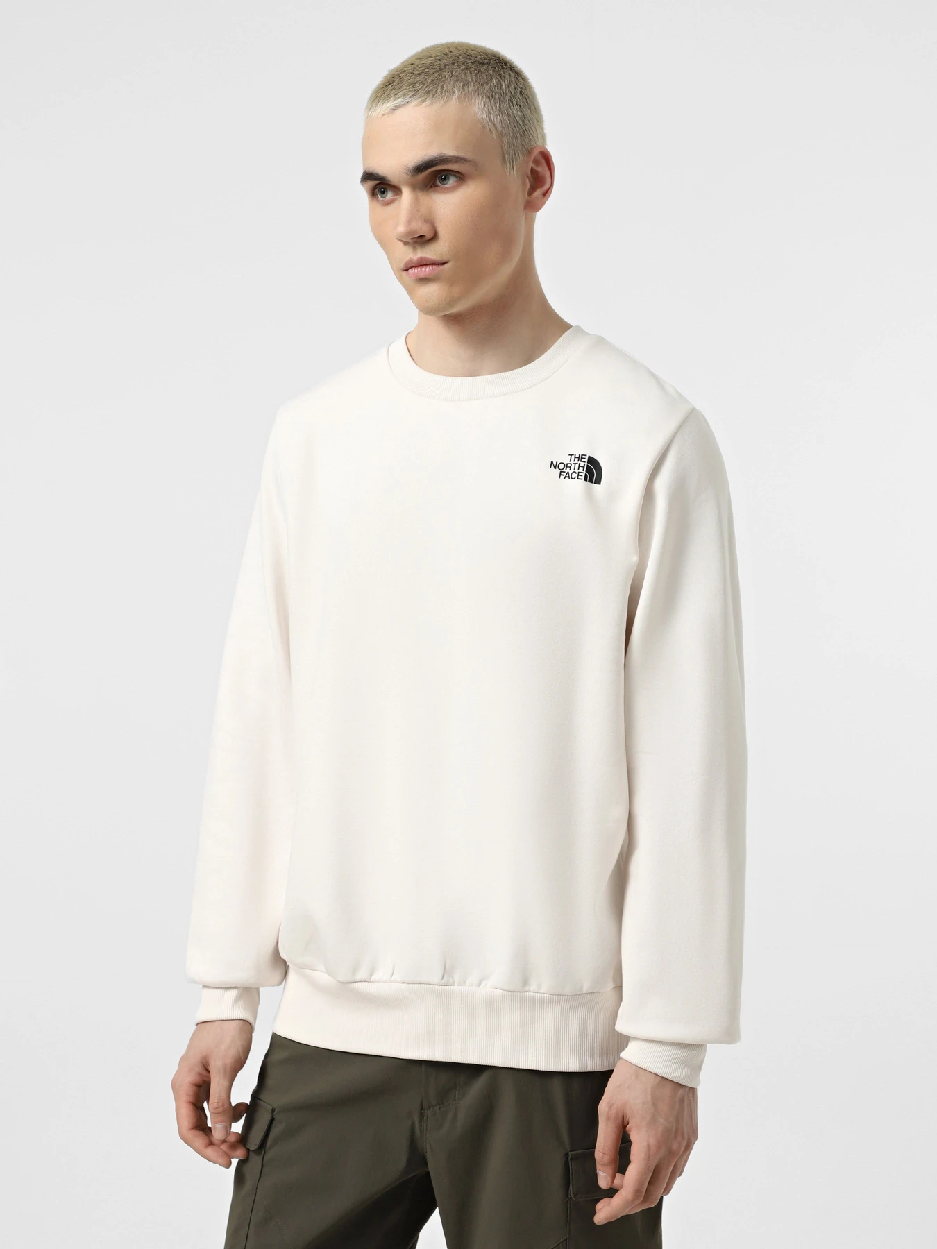 Худи и свитшоты The North Face Simple Dome Crew модель NF0A89FBQLI1 Фото