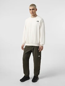 Худи и свитшоты The North Face Simple Dome Crew модель NF0A89FBQLI1 Фото