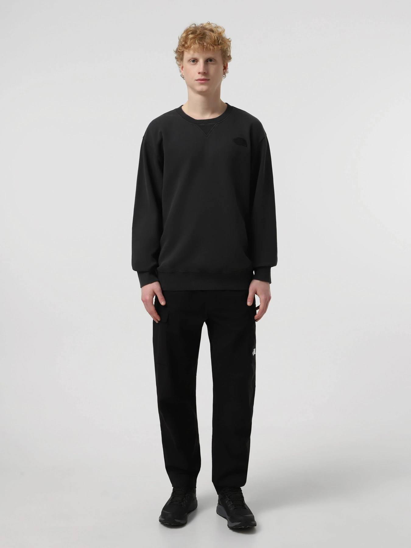 Худи и свитшоты The North Face Nature Relaxed Crew модель NF0A8BW0JK31 Худи и свитшоты The North Face Nature Relaxed Crew модель NF0A8BW0JK31 Фото
