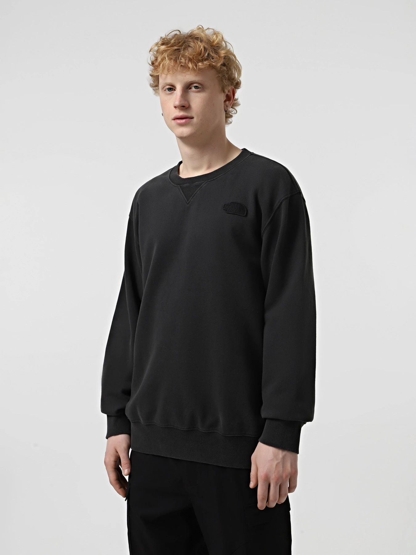 Худи и свитшоты The North Face Nature Relaxed Crew модель NF0A8BW0JK31 Худи и свитшоты The North Face Nature Relaxed Crew модель NF0A8BW0JK31 Фото