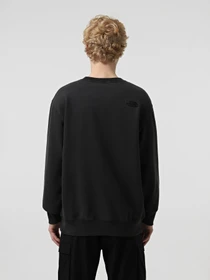 Худи и свитшоты The North Face Nature Relaxed Crew модель NF0A8BW0JK31 Фото