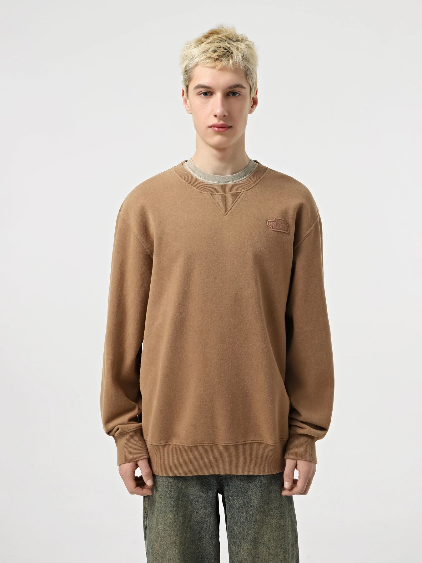 Худи и свитшоты The North Face Nature Relaxed Crew модель NF0A8BW06IH1 Худи и свитшоты The North Face Nature Relaxed Crew модель NF0A8BW06IH1 Фото