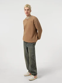 Худи и свитшоты The North Face Nature Relaxed Crew модель NF0A8BW06IH1 Фото