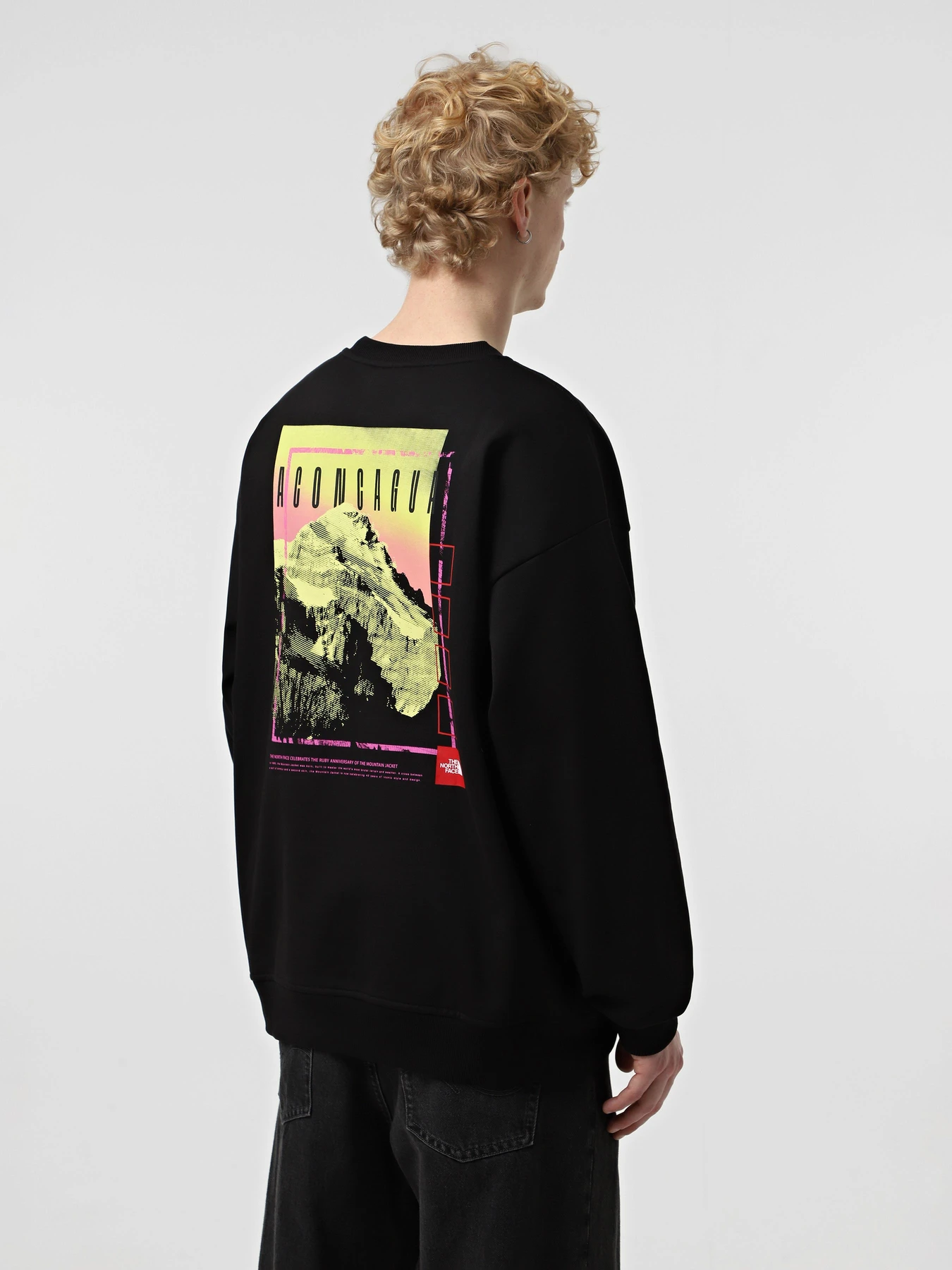Худи и свитшоты The North Face Axys Oversized Crew модель NF0A8C1SJK31 Худи и свитшоты The North Face Axys Oversized Crew модель NF0A8C1SJK31 Фото