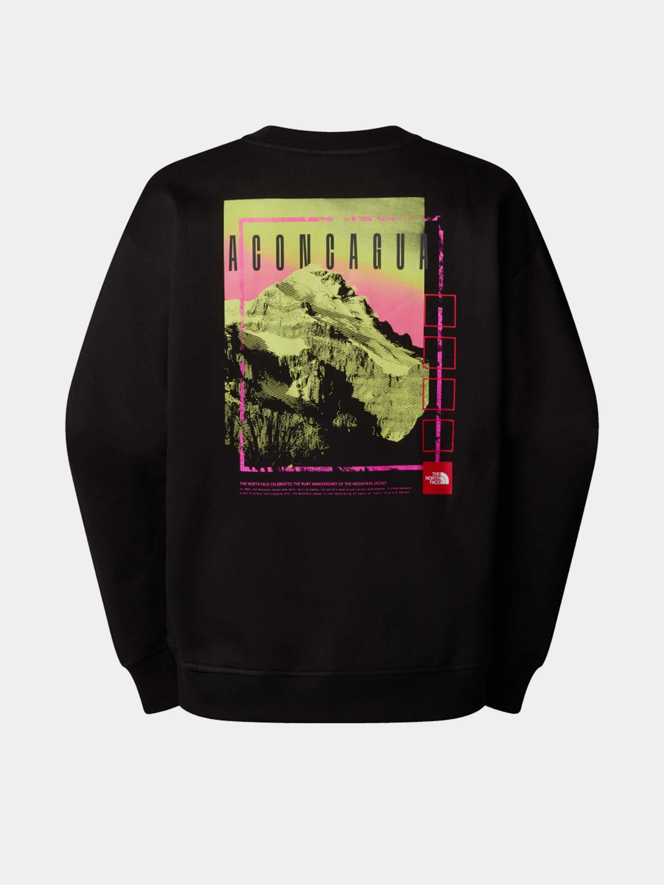 Худи и свитшоты The North Face Axys Oversized Crew модель NF0A8C1SJK31 Худи и свитшоты The North Face Axys Oversized Crew модель NF0A8C1SJK31 Фото