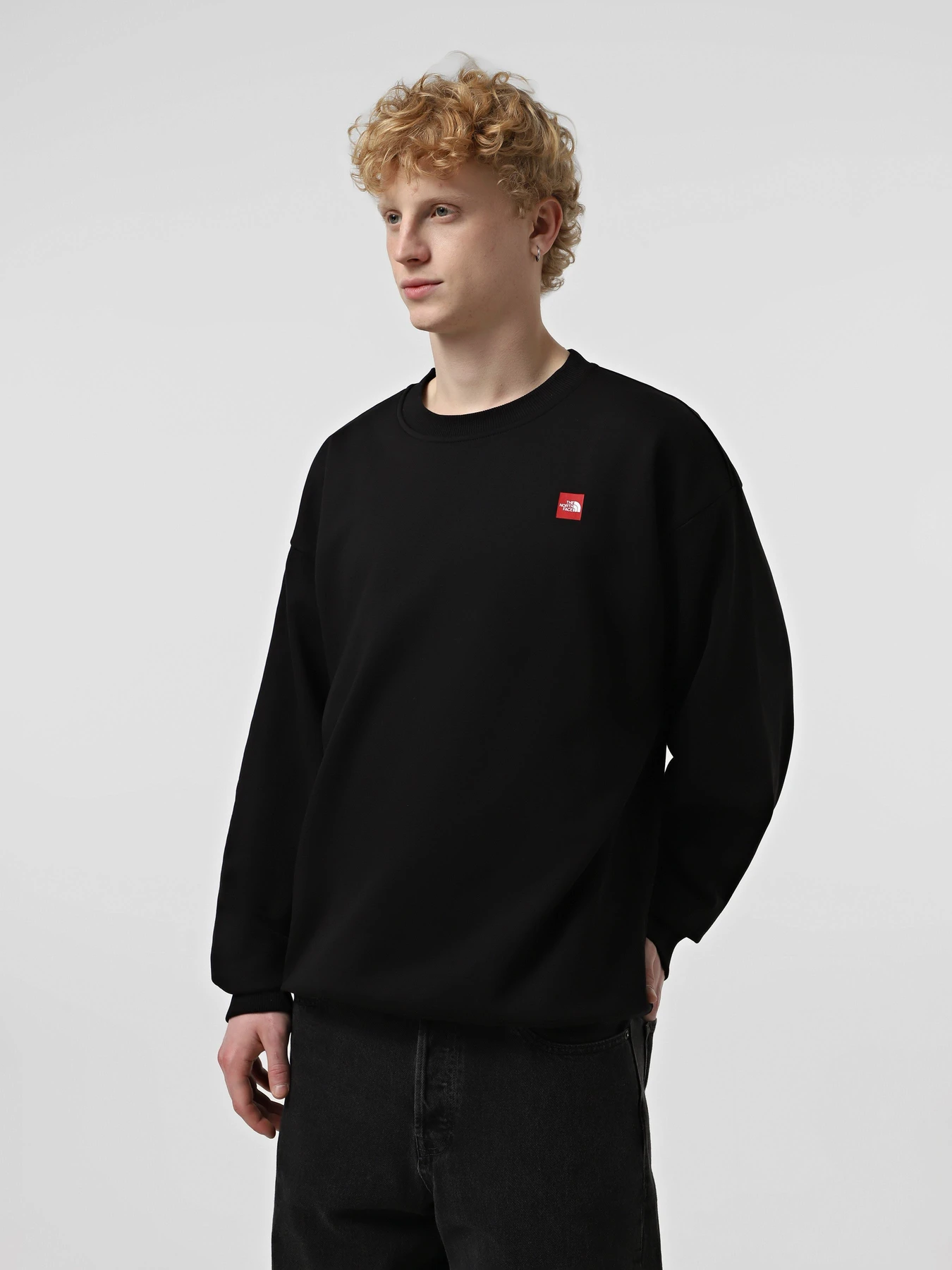 Худи и свитшоты The North Face Axys Oversized Crew модель NF0A8C1SJK31 Худи и свитшоты The North Face Axys Oversized Crew модель NF0A8C1SJK31 Фото