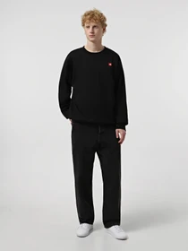 Худи и свитшоты The North Face Axys Oversized Crew модель NF0A8C1SJK31 Фото