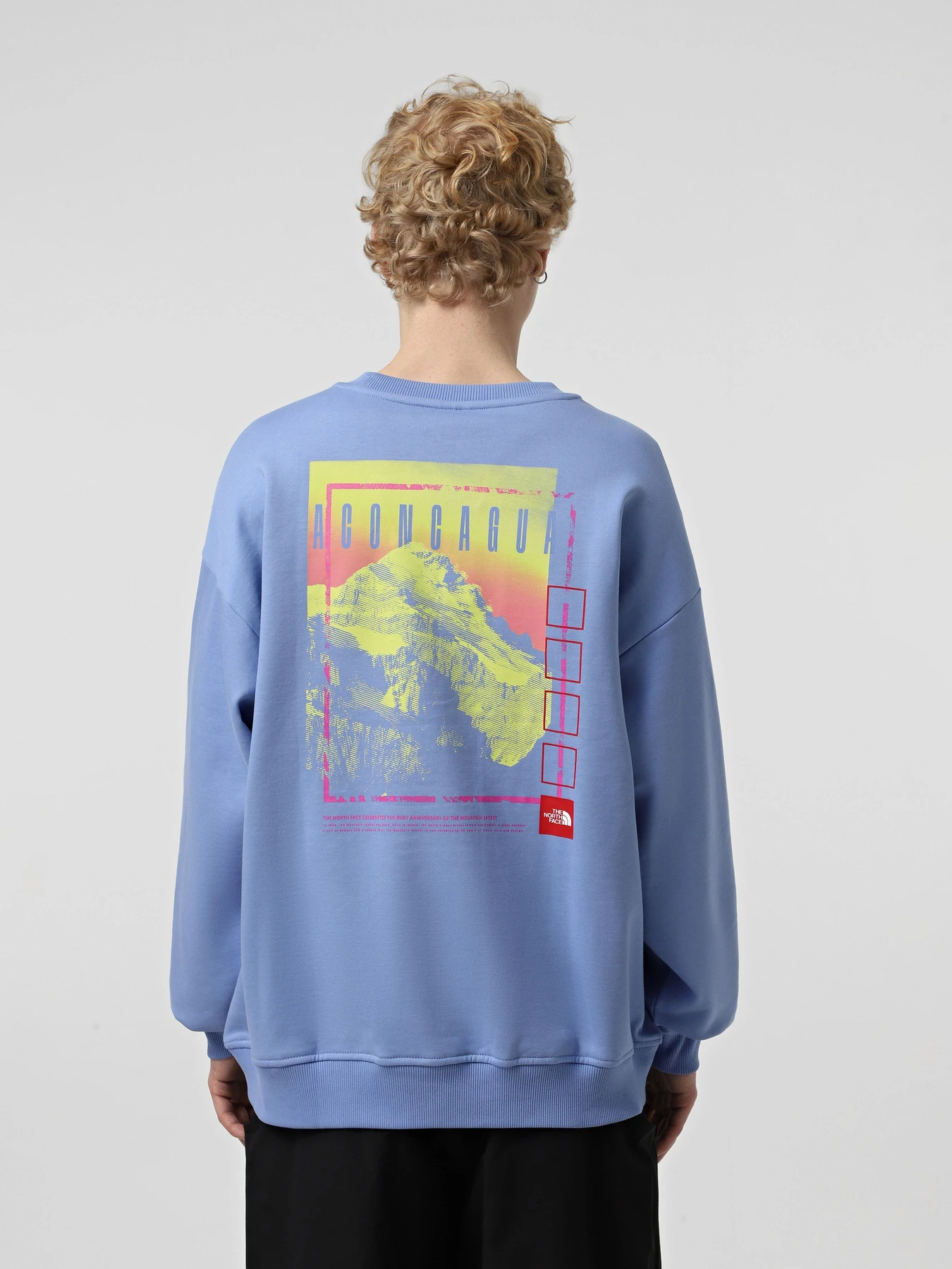 Худи и свитшоты The North Face Axys Oversized Crew модель NF0A8C1S0YI1 Фото