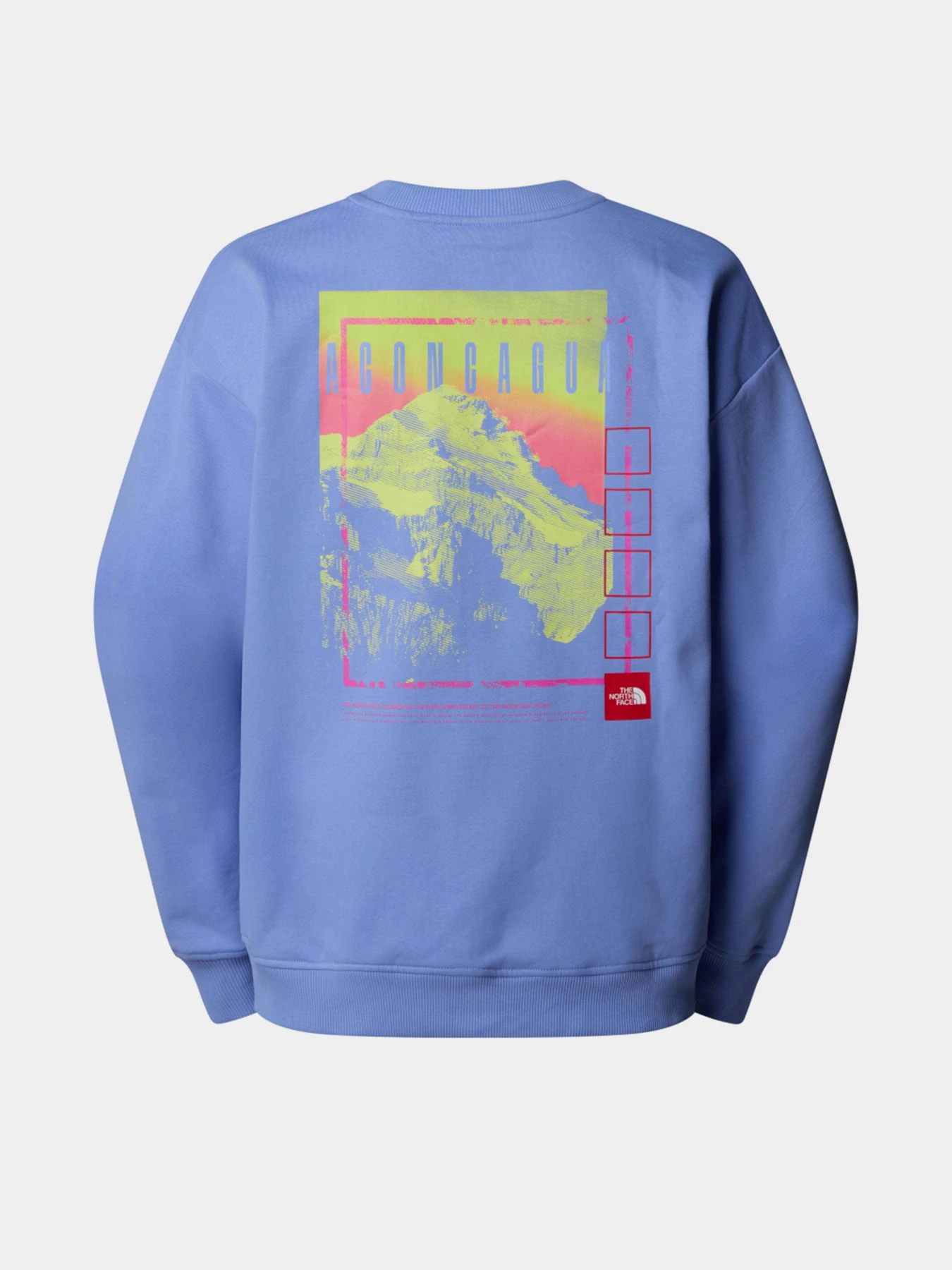 Худи и свитшоты The North Face Axys Oversized Crew модель NF0A8C1S0YI1 Фото