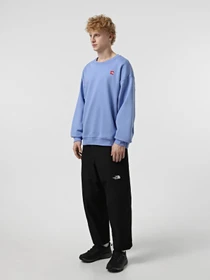 Худи и свитшоты The North Face Axys Oversized Crew модель NF0A8C1S0YI1 Фото